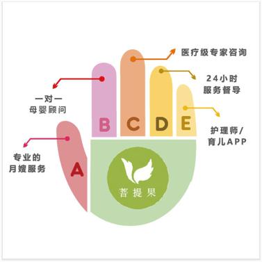 菩提果母婴护理